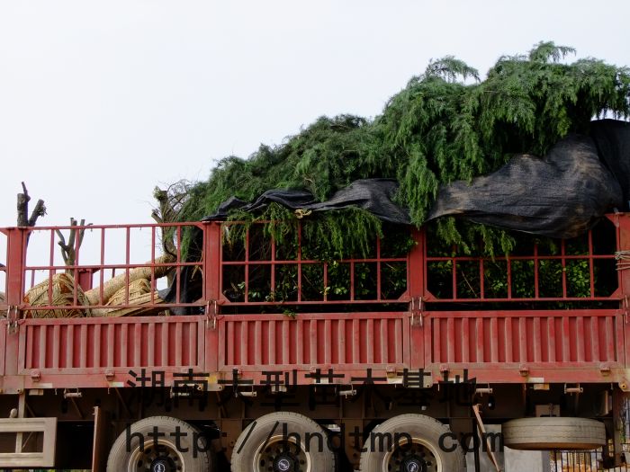 照(zhào)片 014.jpg