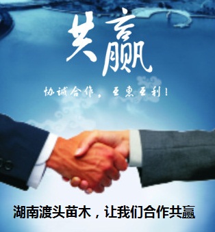 土(tǔ)地(dì)求租－湖(hú)南(nán)花(huā)木(mù)