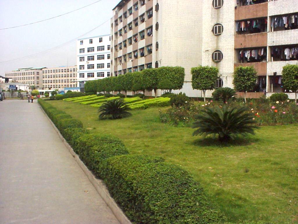 工(gōng)廠(chǎng)綠(lǜ)化(huà)設計(jì)方案