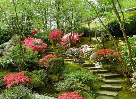 公園綠(lǜ)化(huà)方案設計(jì)