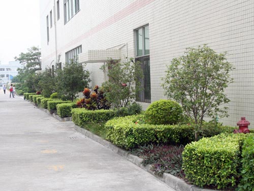 湖(hú)南(nán)長(cháng)沙學校(xiào)綠(lǜ)化(huà)施工(gōng)