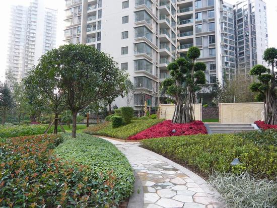 小(xiǎo)區(qū)綠(lǜ)化(huà)