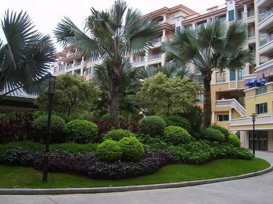 小(xiǎo)區(qū)綠(lǜ)化(huà)