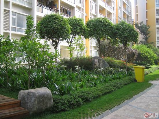 小(xiǎo)區(qū)綠(lǜ)化(huà)