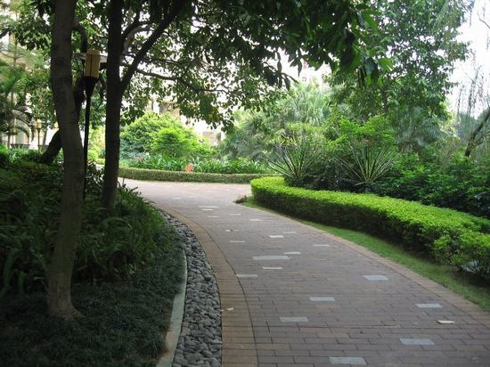 小(xiǎo)區(qū)綠(lǜ)化(huà)