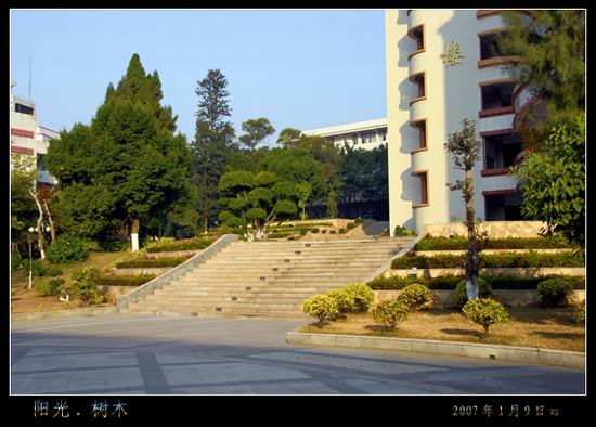 學校(xiào)綠(lǜ)化(huà)效果圖