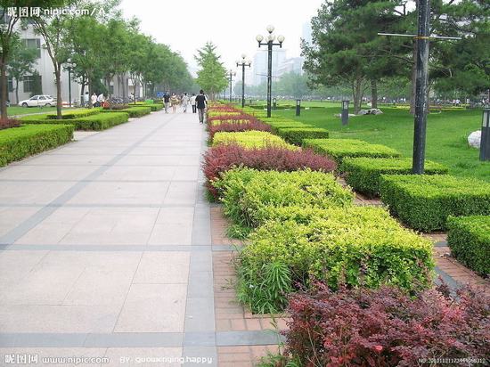 學校(xiào)綠(lǜ)化(huà)效果圖