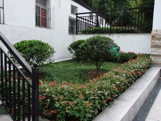 學校(xiào)綠(lǜ)化(huà)效果圖