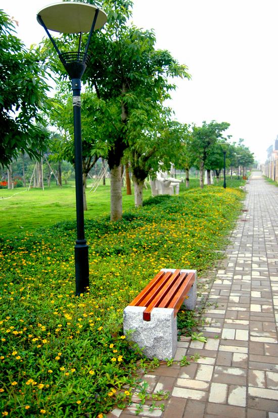 學校(xiào)綠(lǜ)化(huà)效果圖