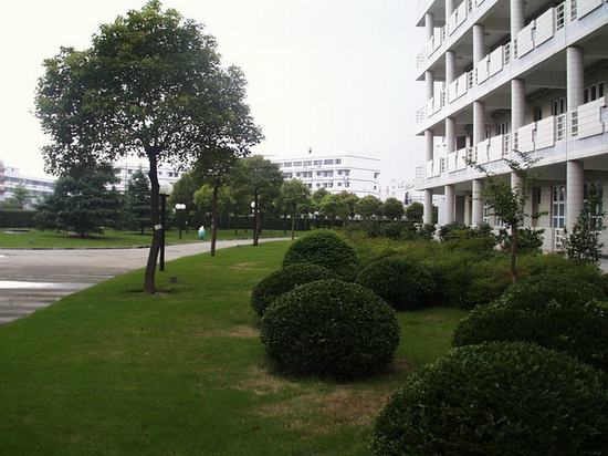 學校(xiào)綠(lǜ)化(huà)效果圖