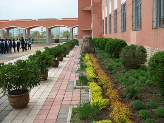 學校(xiào)綠(lǜ)化(huà)效果圖