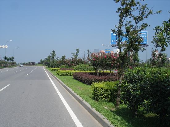 道(dào)路(lù)綠(lǜ)化(huà)